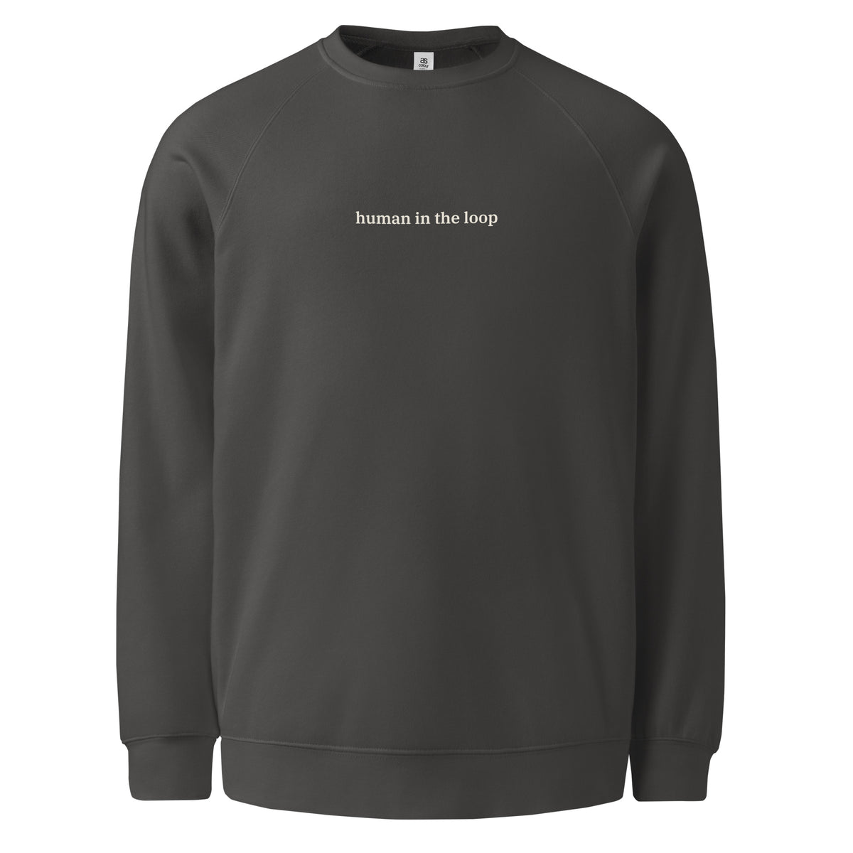 Human in the Loop Raglan Sweatshirt 2