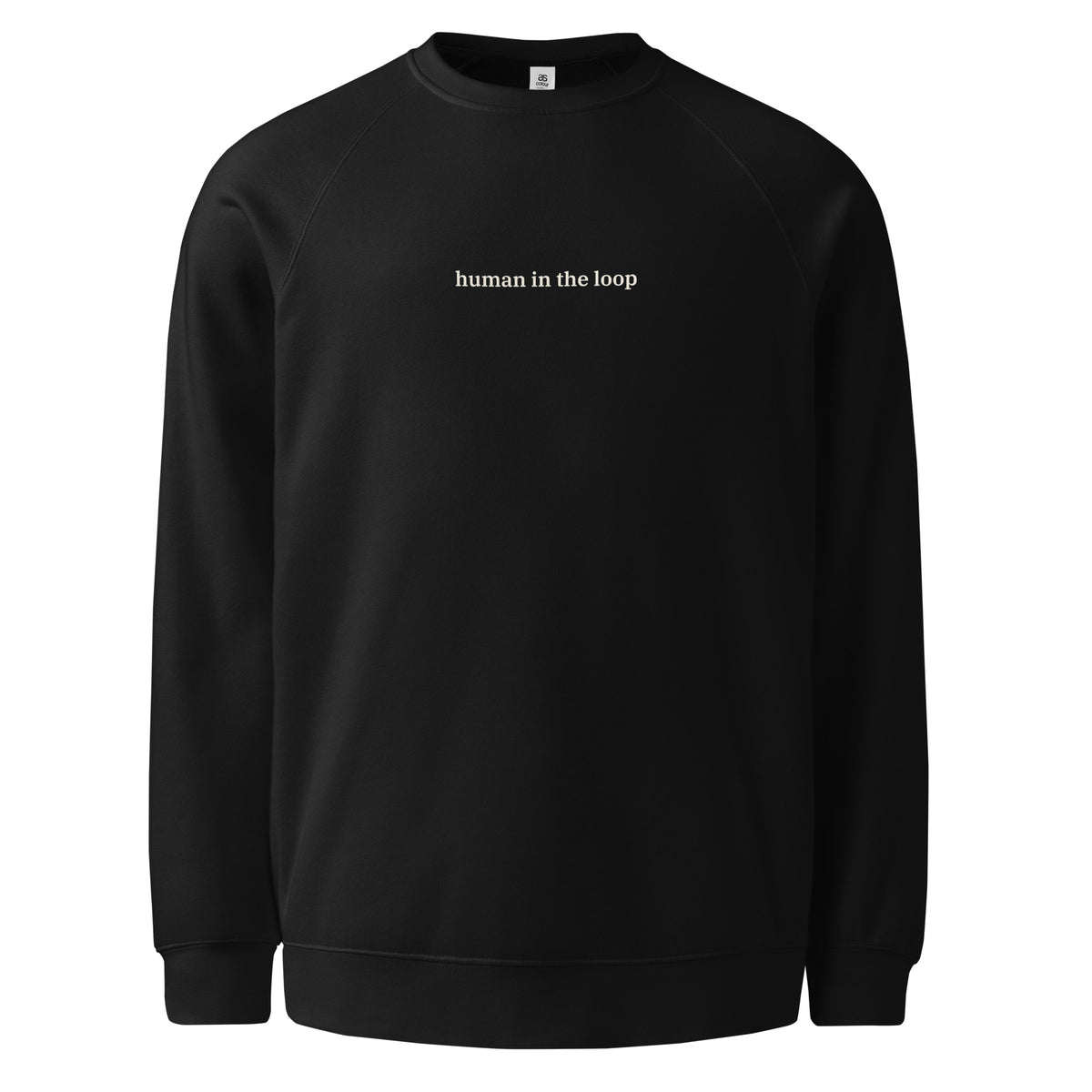 Human in the Loop Raglan Sweatshirt 1